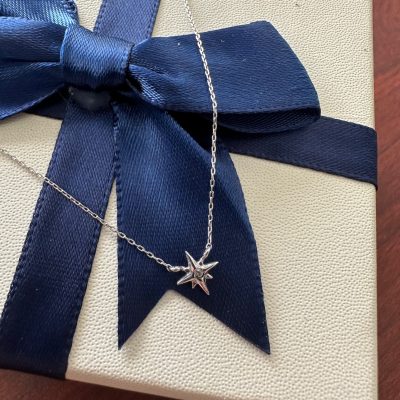 Dainty Diamond Star Pendant, 14k star on a 10K White Gold Cable Chain 16.5"